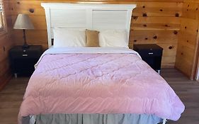 Mountain View Cabins